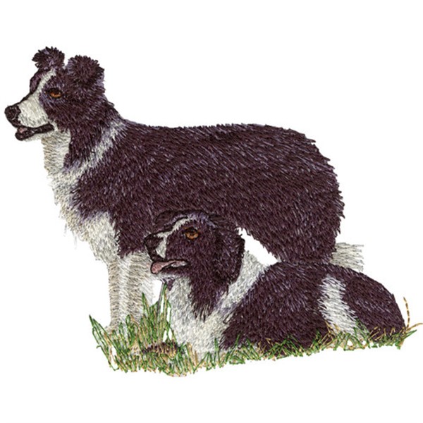 Border Collie Embroidered Waffle Weave Kitchen Towel